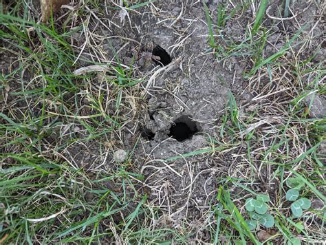 traduction hole|hole in the ground in french.